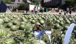 朝阳吃瓜群众网,揭秘娱乐圈幕后故事，带你领略不一样的娱乐圈